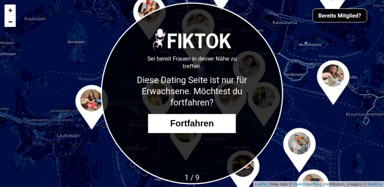 fiktok.com Erfahrungen Testbericht 2026